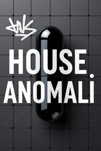 HOUSE ANOMALI - Native Instruments BATTERY 4 MIDI DRUM LOOPS